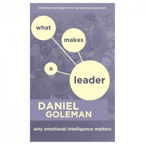 Full Download What Makes a Leader: Why Emotional Intelligence Matters - Daniel Goleman file in PDF