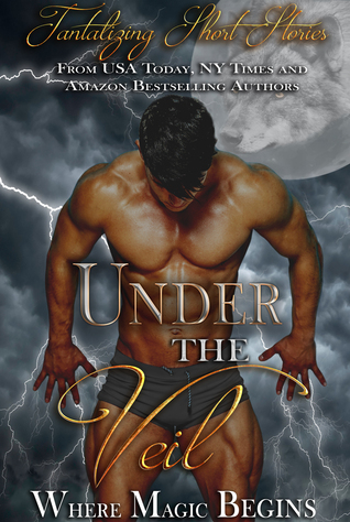 Full Download Under the Veil: A Boxed Set of Magical and Paranormal Romance Short Story Teasers - K. de Long file in PDF