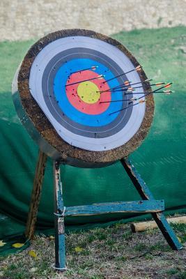 Full Download Sport Target for Bow and Arrow Journal: 150 Page Lined Notebook/Diary -  | PDF