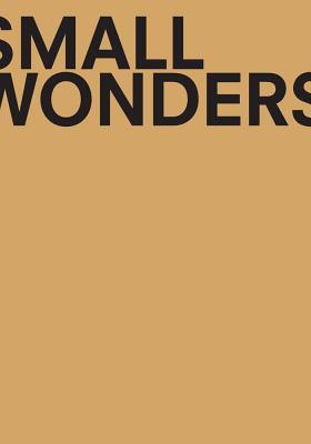 Download Small Wonders: Late Gothic Boxwood Microcarvings from the Low Countries - Frits Scholten file in ePub