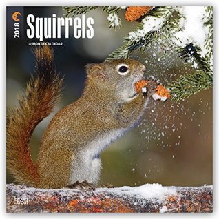 Download Squirrels 2018 12 x 12 Inch Monthly Square Wall Calendar, Wildlife Domestic Animals (Multilingual Edition) -  file in PDF
