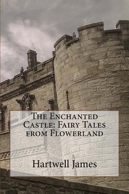 Download The Enchanted Castle: Fairy Tales from Flowerland - Hartwell James file in PDF
