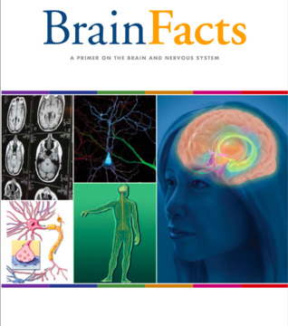 Download Brain Facts: A Primer On The Brain And Nervous System - The Society for Neuroscience | ePub