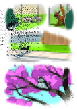 Download The Adventures of Henry the City Cat Freedom; Volume 2 - Debby Summers file in ePub