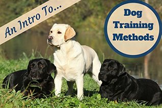 Read Online How Do I Train My Dog To Stop Barking: Specially When i Am Tired And Resting at Home? - NITIN KANANI file in PDF