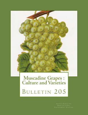 Read Online Muscadine Grapes: Culture and Varieties: Bulletin 205 - South Carolina Agricultural Experiment S | ePub