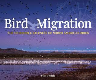 Download Bird Migration: The Incredible Journeys of North American Birds - Stan Tekiela file in PDF