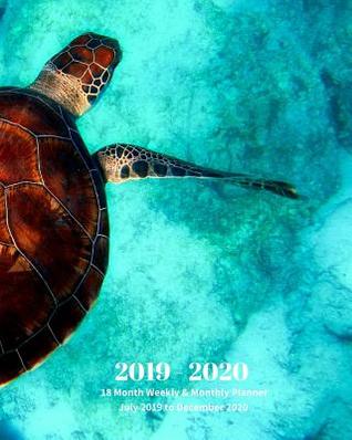 Read 2019 - 2020 18 Month Weekly & Monthly Planner July 2019 to December 2020: Sea Turtle in Ocean Marine Life Vol 10 Monthly Calendar with U.S./Uk/ Canadian/Christian/Jewish/Muslim Holidays- Calendar in Review/Notes 8 X 10 In. - Dazzle Book Press | ePub