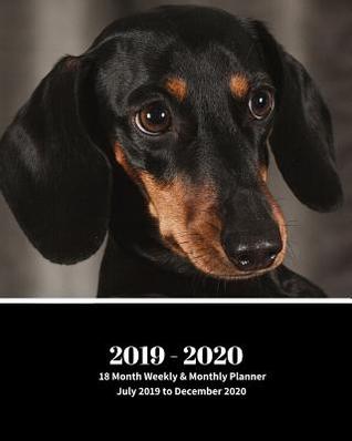 Full Download 2019 - 2020 18 Month Weekly & Monthly Planner July 2019 to December 2020: Dachshund Dog Breed Pets Vol 25 Monthly Calendar with U.S./Uk/ Canadian/Christian/Jewish/Muslim Holidays- Calendar in Review/Notes 8 X 10 In. - Dazzle Book Press | PDF