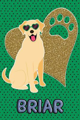 Download Lab Life Briar: College Ruled Composition Book Diary Lined Journal Blue - Hunter Johns | PDF